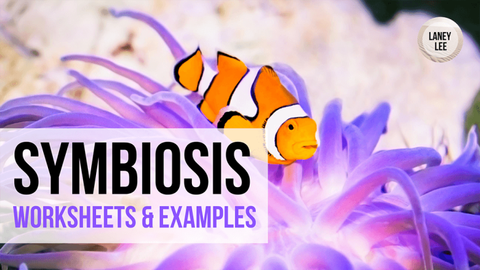 Symbiosis practice worksheet answers key