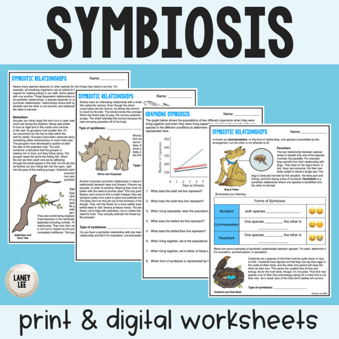 Symbiosis practice worksheet answers key