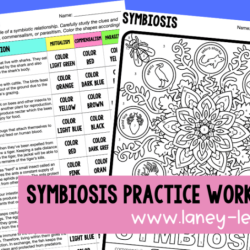 Symbiosis practice worksheet answers key