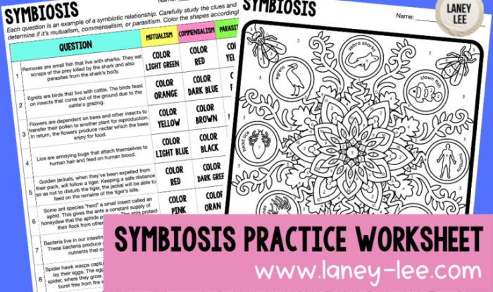 Symbiosis practice worksheet answers key