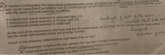 A student investigating the importance of wavelengths