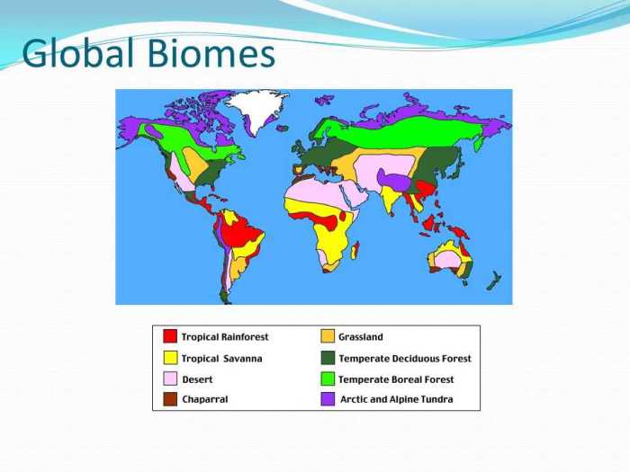 Climatogram biomes worksheet biome worksheets graphs graphing grassland teacherspayteachers reinforces skills includes activity great