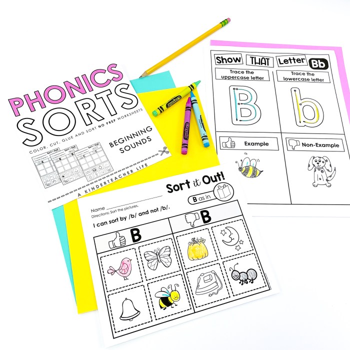 Phonemic intervention snippets teaching snippetsbysarah